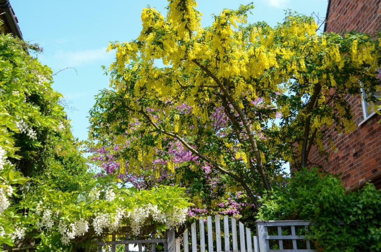 Grove Cottage ヤーマス エクステリア 写真
